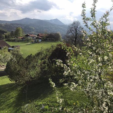 Entspannen Mit Bergpanorama Siegsdorf Zewnętrze zdjęcie